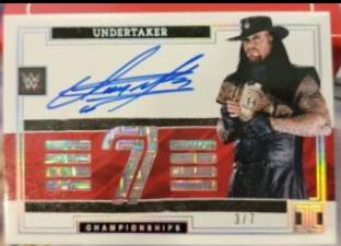 Undertaker #IC-UTK