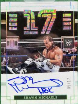 Shawn Michaels #IW-SML