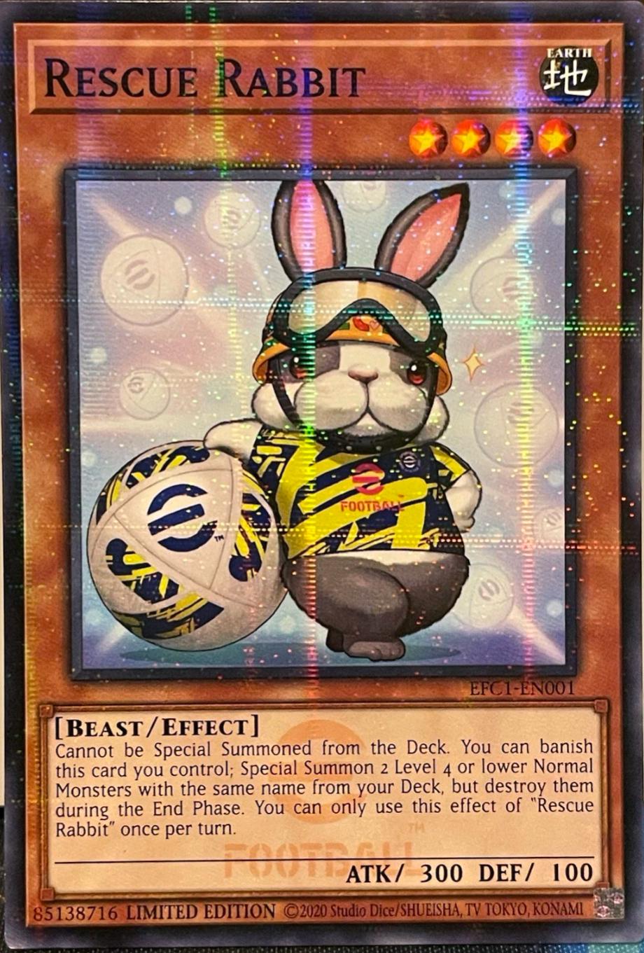 Rescue Rabbit EFC1-EN001