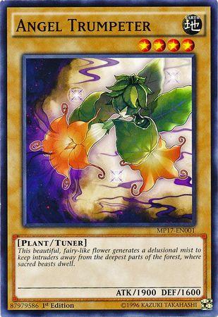 Angel Trumpeter MP17-EN001