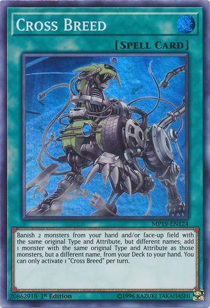 Cross Breed MP19-EN124
