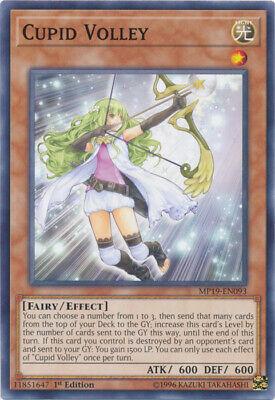 Cupid Volley MP19-EN093