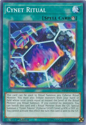 Cynet Ritual MP19-EN113
