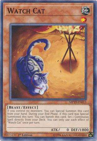 Watch Cat MP19-EN013