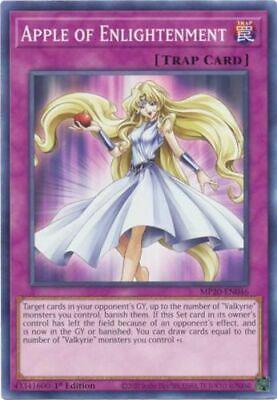 Apple of Enlightenment MP20-EN046