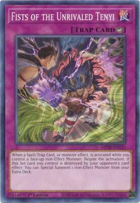 Fists of the Unrivaled Tenyi MP20-EN135