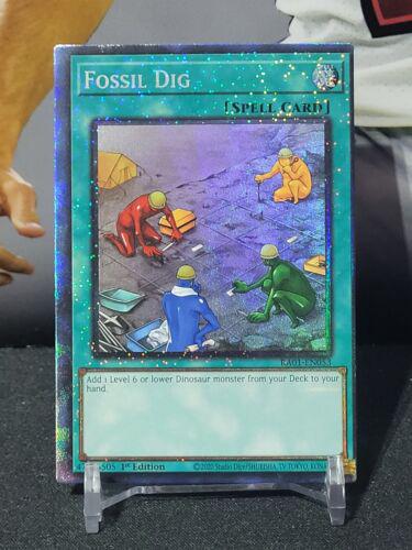 Fossil Dig [Collector's Rare] RA01-EN053