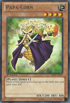 Papa-Corn [1st Edition] ABYR-EN097