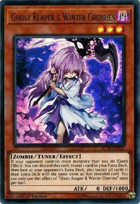 Ghost Reaper & Winter Cherries AC18-EN022