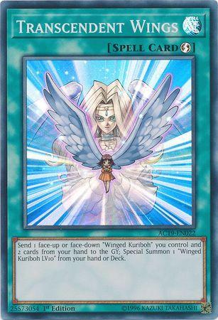 Transcendent Wings AC19-EN022