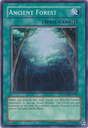 Ancient Forest ANPR-EN048
