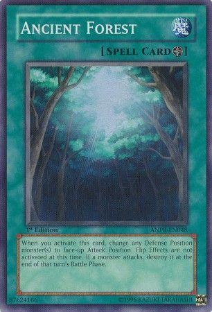 Ancient Forest [1st Edition] ANPR-EN048