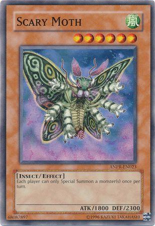 Scary Moth ANPR-EN023
