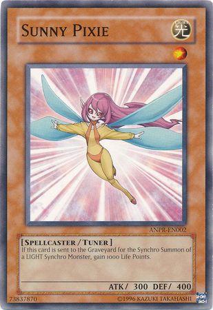 Sunny Pixie ANPR-EN002