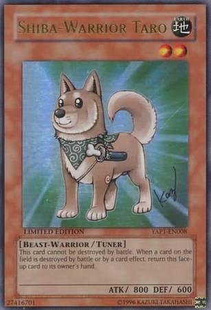 Shiba-Warrior Taro YAP1-EN008