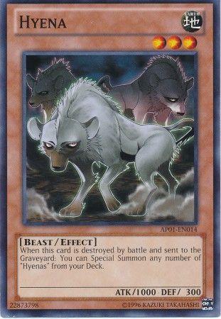 Hyena AP01-EN014