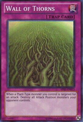 Wall of Thorns AP03-EN013