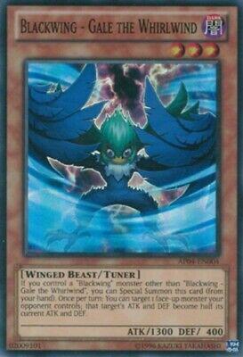 Blackwing - Gale the Whirlwind AP04-EN004