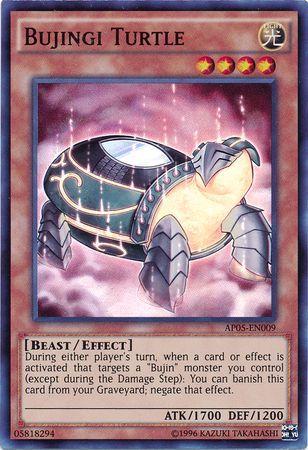 Bujingi Turtle AP05-EN009