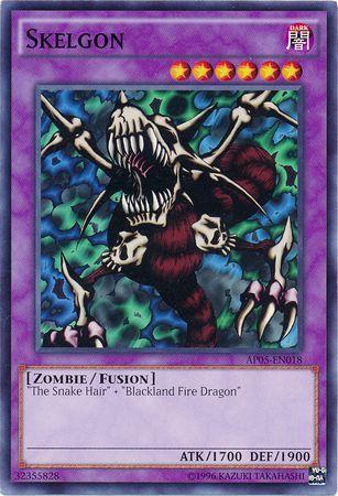 Skelgon AP05-EN018