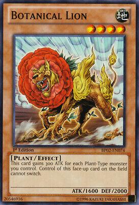 Botanical Lion [1st Edition] BP02-EN074