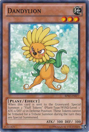 Dandylion BP02-EN077