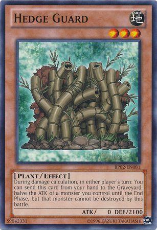 Hedge Guard BP02-EN081