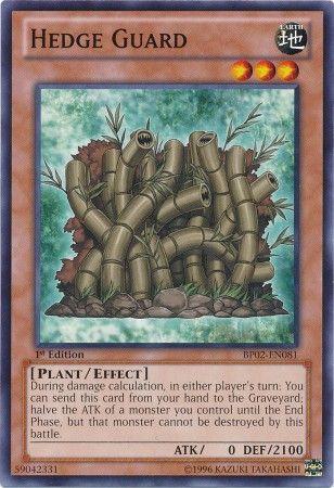 Hedge Guard [1st Edition] BP02-EN081