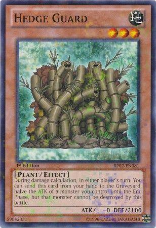 Hedge Guard [Mosaic Rare 1st Edition] BP02-EN081