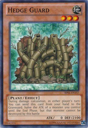 Hedge Guard BP01-EN157