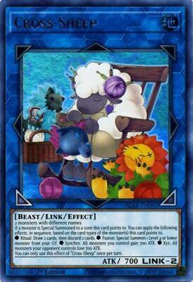 Cross-Sheep BLAR-EN092