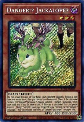 Danger!? Jackalope? BLAR-EN088