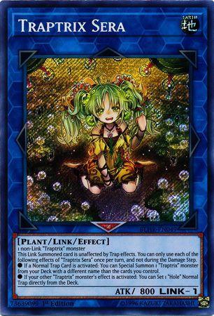 Traptrix Sera BLHR-EN049