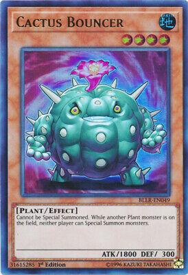 Cactus Bouncer BLLR-EN049