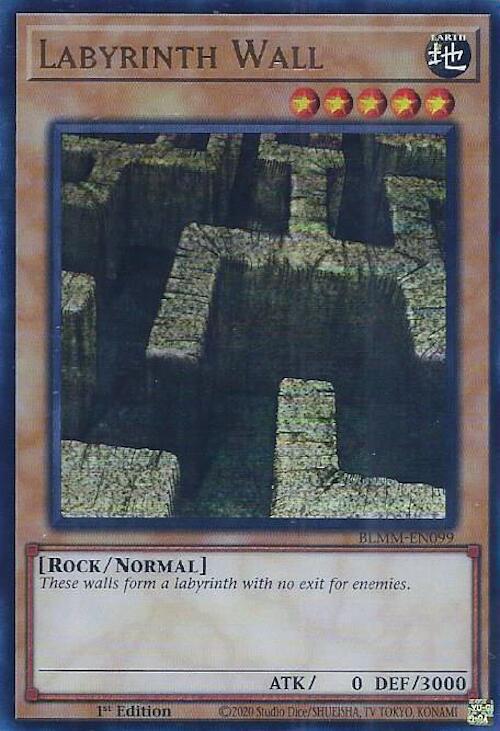 Labyrinth Wall BLMM-EN099