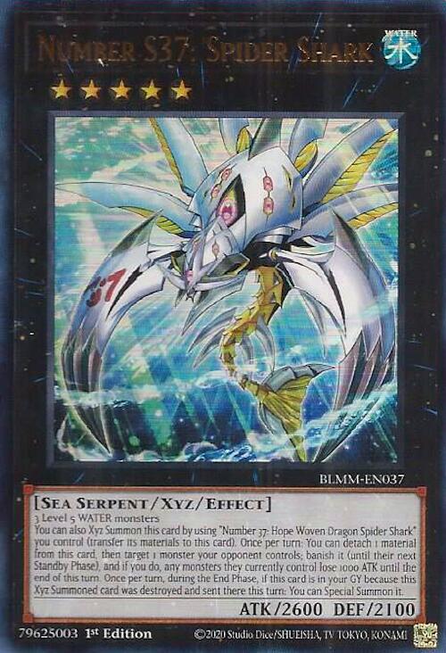 Number S37: Spider Shark BLMM-EN037