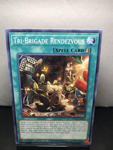Tri-Brigade Rendezvous BLVO-EN056