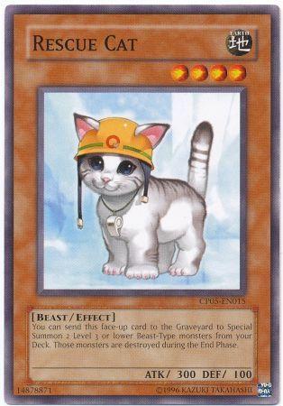 Rescue Cat CP05-EN015