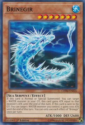 Brinegir [1st Edition] CHIM-EN026
