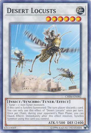 Desert Locusts CHIM-EN082