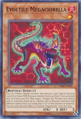 Evoltile Megachirella CHIM-EN020