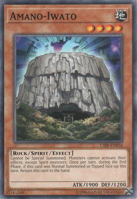Amano-Iwato CIBR-EN036