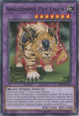Amazoness Pet Liger CIBR-EN094