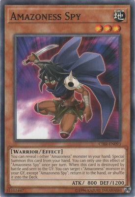 Amazoness Spy CIBR-EN093