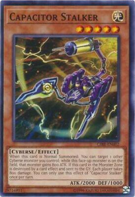 Capacitor Stalker CIBR-EN002