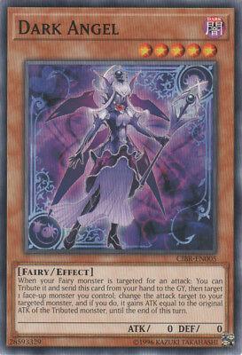 Dark Angel CIBR-EN005