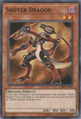 Sniffer Dragon CIBR-EN008