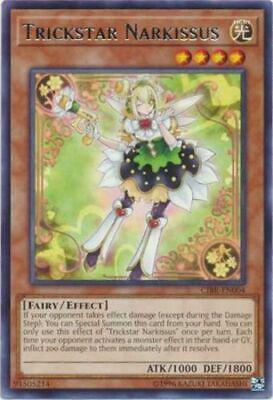 Trickstar Narkissus CIBR-EN004
