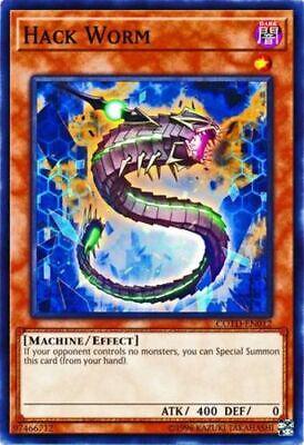 Hack Worm COTD-EN012