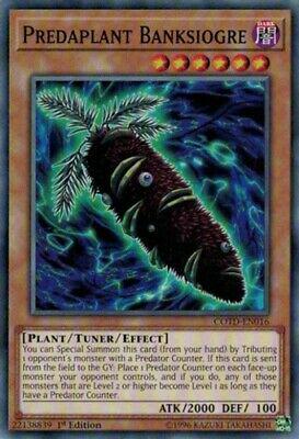 Predaplant Banksiogre [1st Edition] COTD-EN016